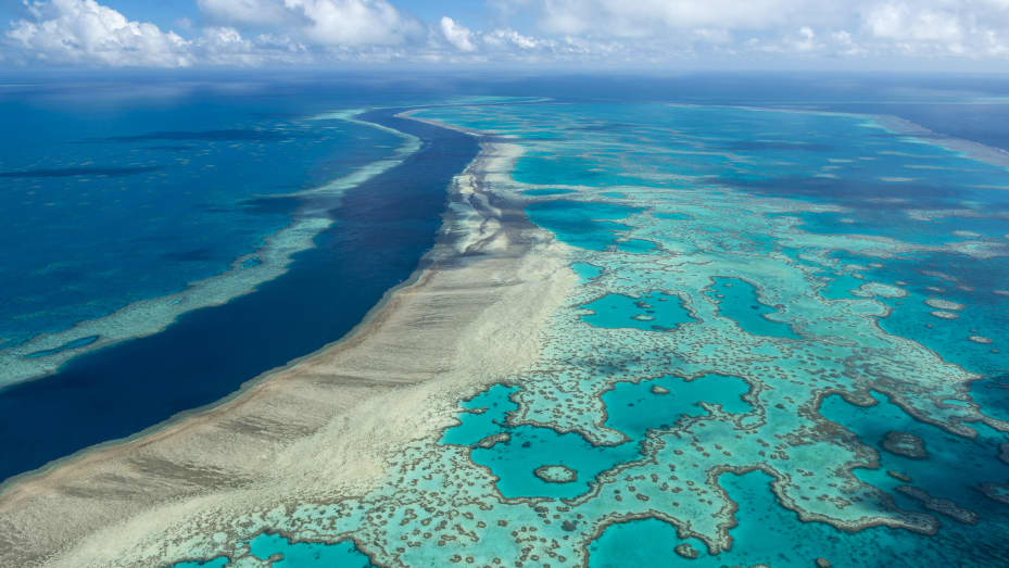 Две трети от Големия бариерен риф в Австралия регистрираха най голямото